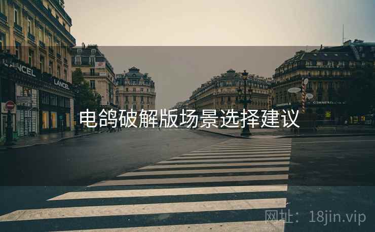 电鸽破解版场景选择建议  第2张