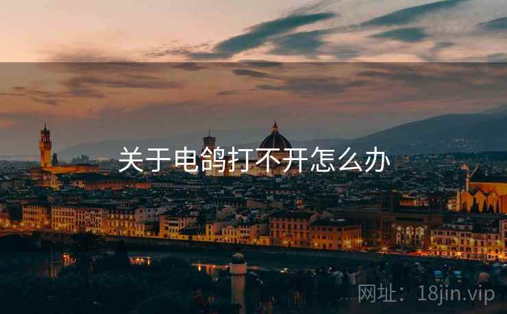 关于电鸽打不开怎么办  第1张
