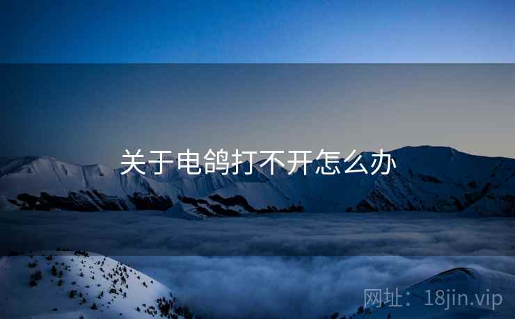 关于电鸽打不开怎么办  第2张