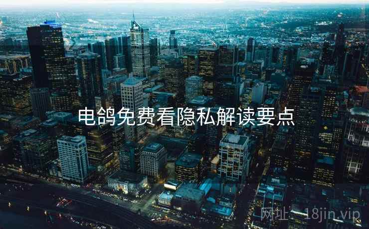 电鸽免费看隐私解读要点  第2张