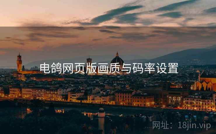 电鸽网页版画质与码率设置  第2张
