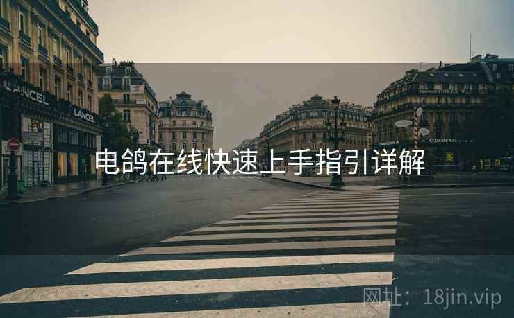 电鸽在线快速上手指引详解  第2张