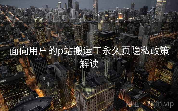 面向用户的p站搬运工永久页隐私政策解读  第2张