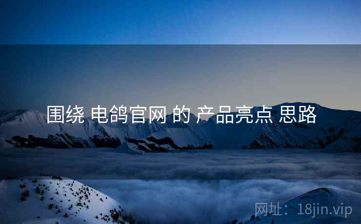 围绕 电鸽官网 的 产品亮点 思路  第2张