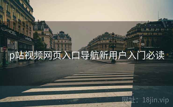 p站视频网页入口导航新用户入门必读  第2张