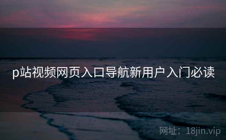 p站视频网页入口导航新用户入门必读  第1张