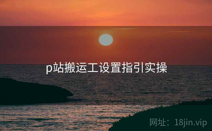 p站搬运工设置指引实操  第1张