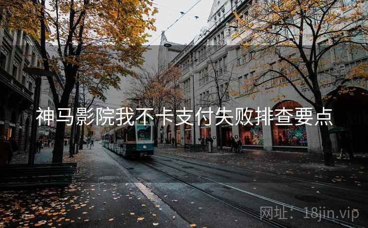 神马影院我不卡支付失败排查要点  第1张