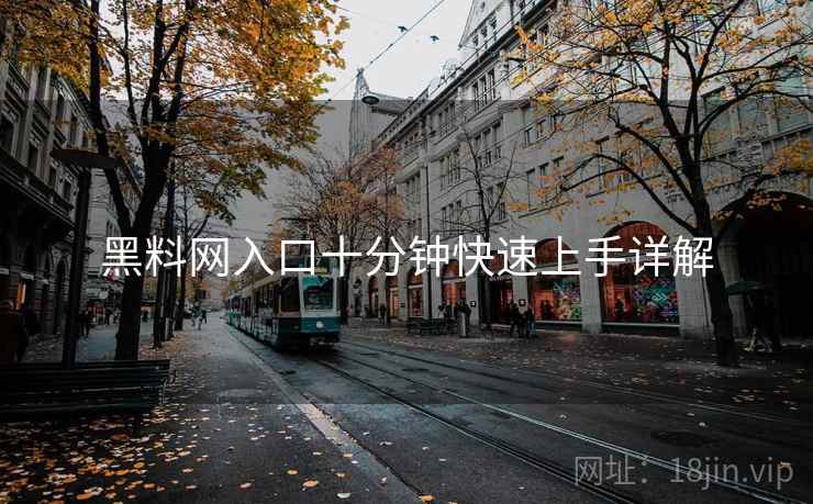 黑料网入口十分钟快速上手详解  第2张