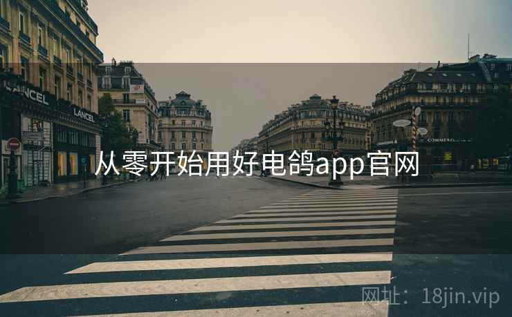 从零开始用好电鸽app官网  第2张