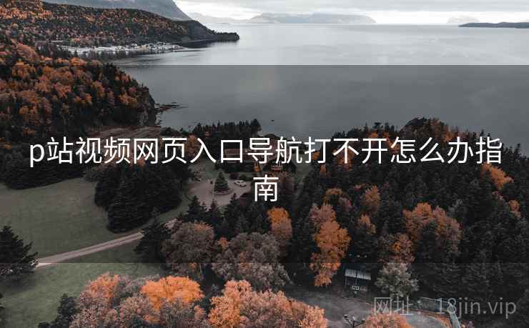 p站视频网页入口导航打不开怎么办指南  第1张