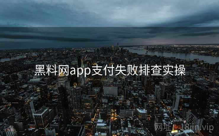 黑料网app支付失败排查实操  第2张