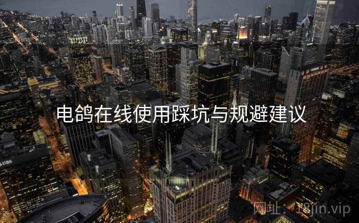 电鸽在线使用踩坑与规避建议  第1张