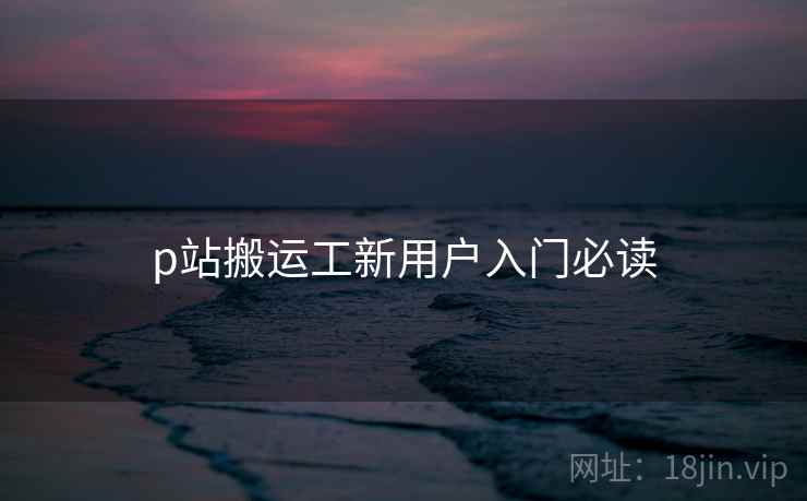 p站搬运工新用户入门必读  第1张