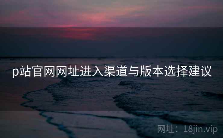 p站官网网址进入渠道与版本选择建议  第2张