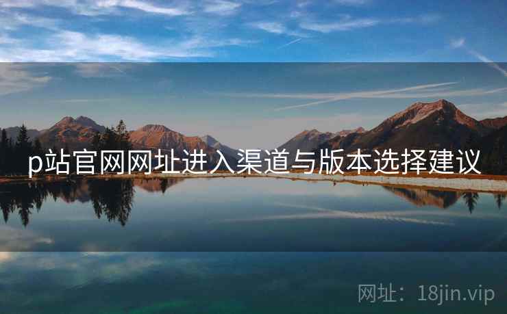 p站官网网址进入渠道与版本选择建议  第1张