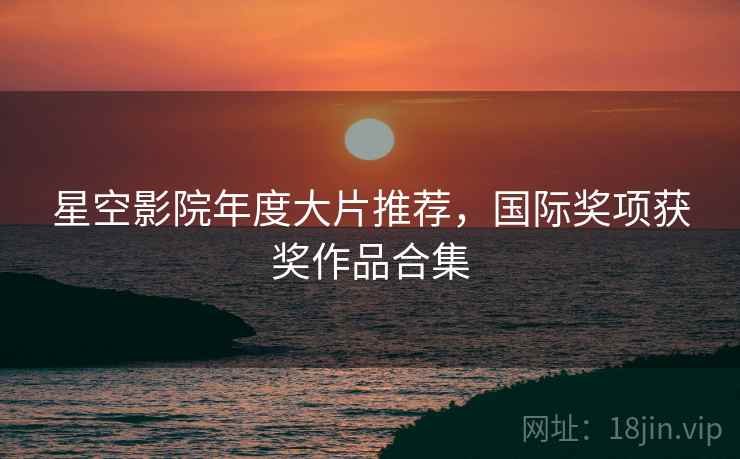 星空影院年度大片推荐，国际奖项获奖作品合集  第2张