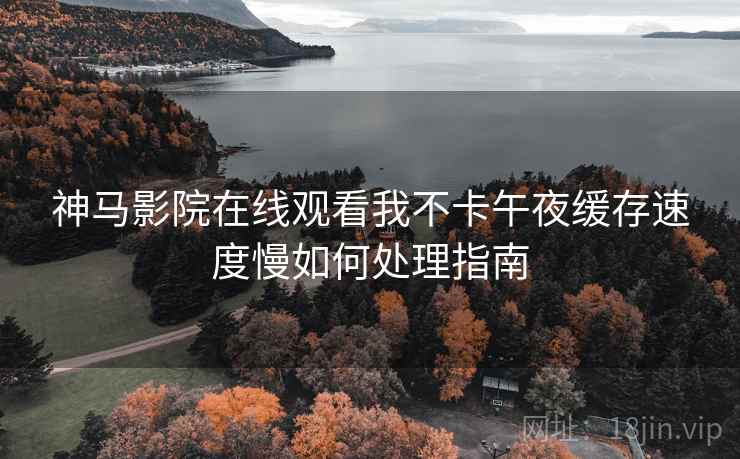 神马影院在线观看我不卡午夜缓存速度慢如何处理指南  第2张