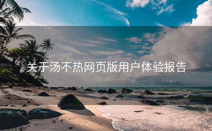 关于汤不热网页版用户体验报告  第1张