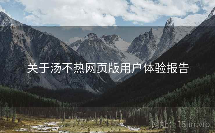 关于汤不热网页版用户体验报告  第2张