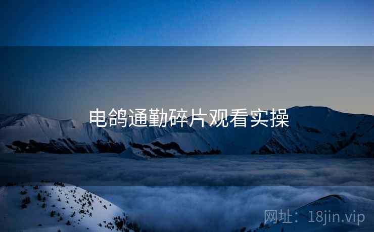 电鸽通勤碎片观看实操  第1张