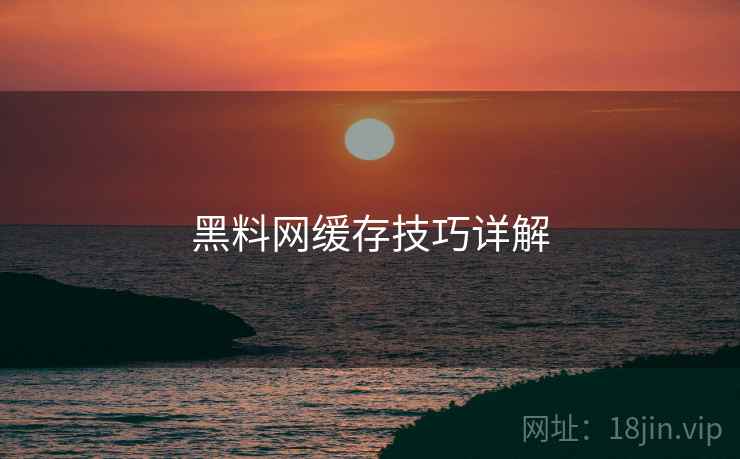 黑料网缓存技巧详解  第1张
