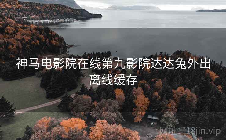 神马电影院在线第九影院达达兔外出离线缓存  第2张